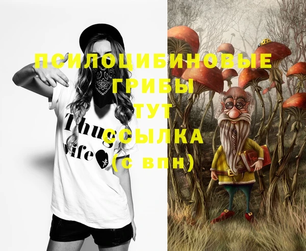 амфетамин Алексеевка